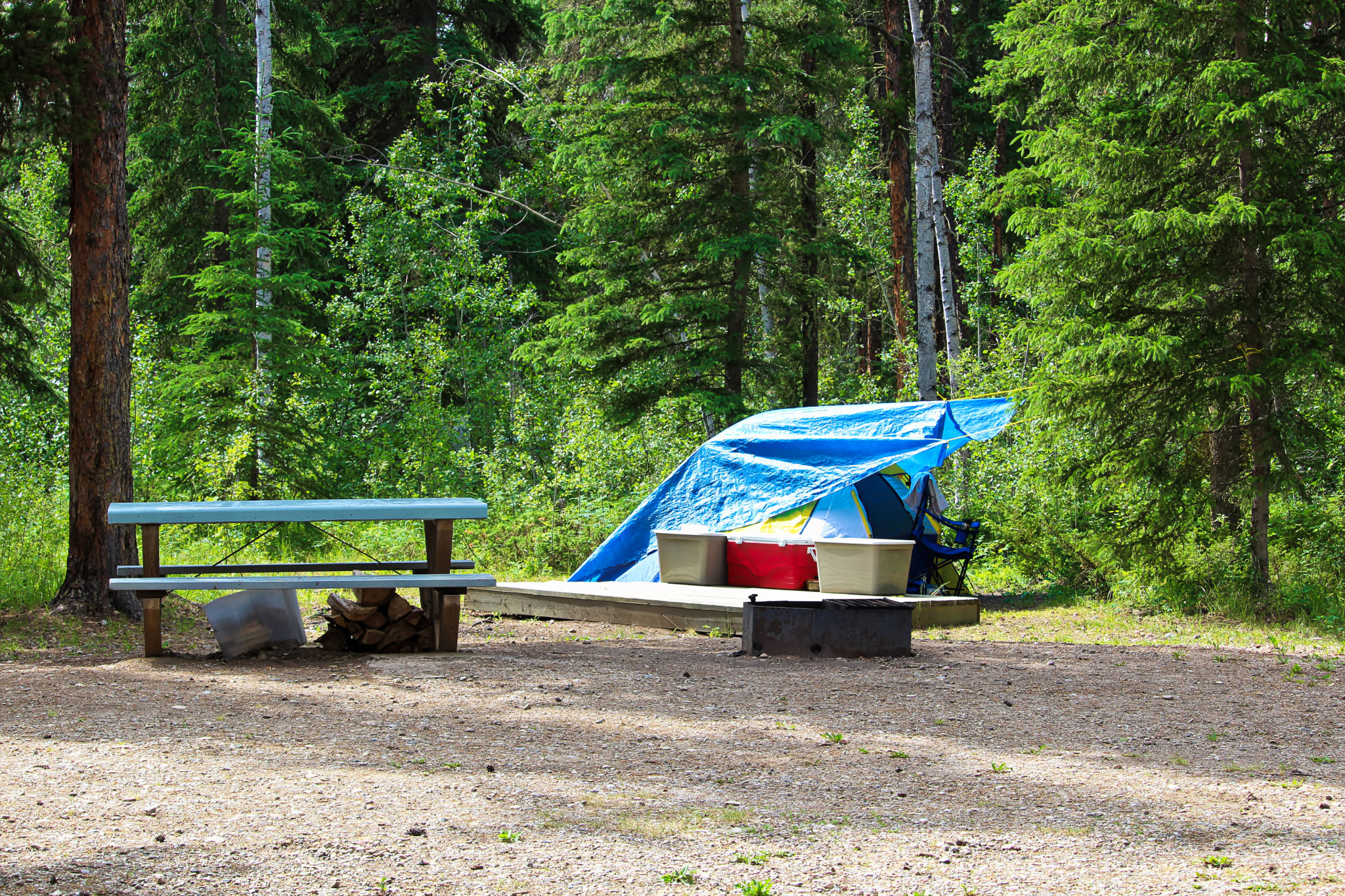 picnic booking