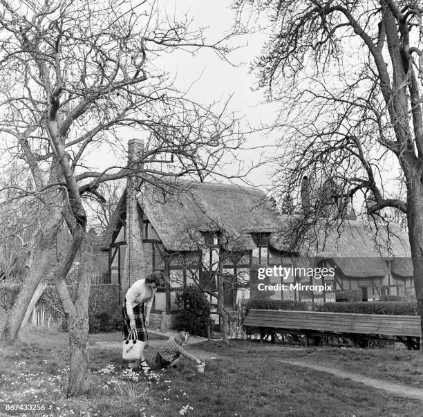 Anne Hathaway's Cottage in Shottery, near Stratford-upon-Avon, Warwickshire, circa 1953.