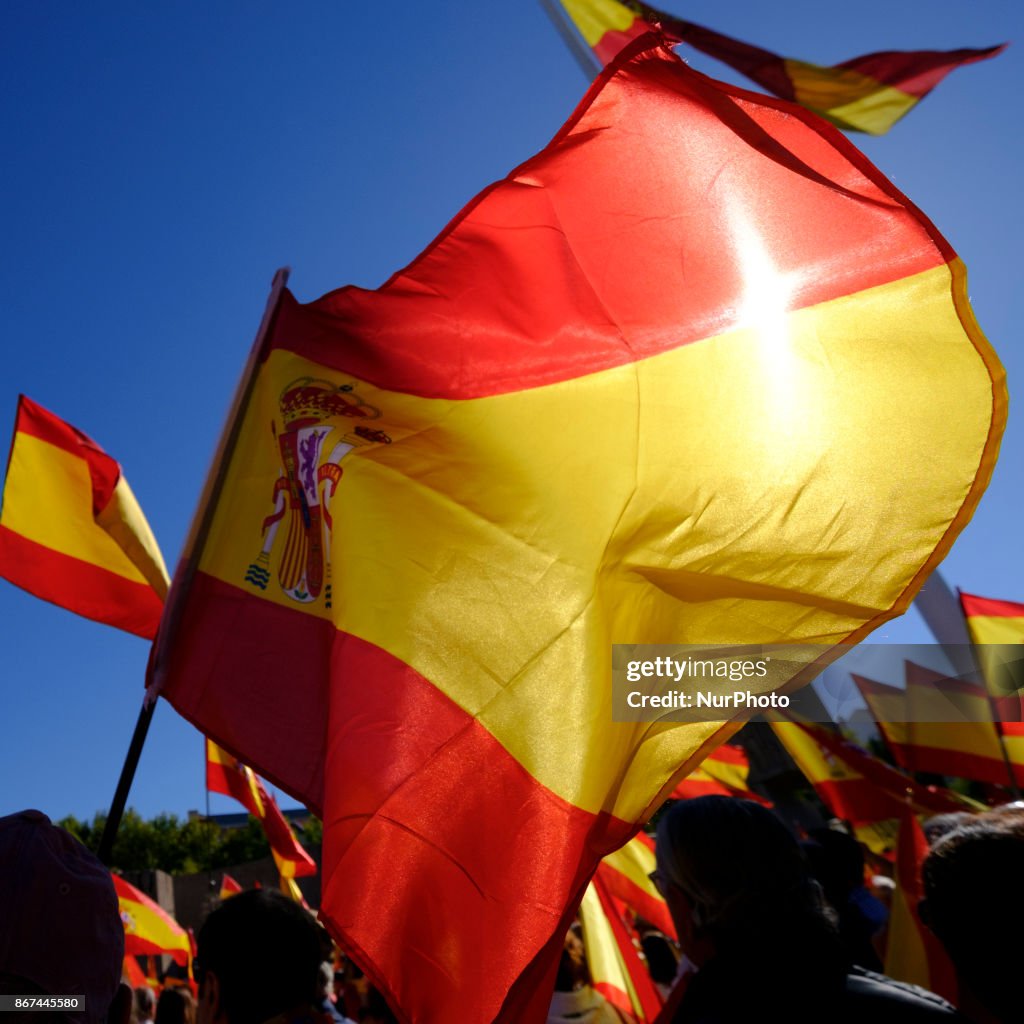 Pro-Spain demonstrator in Madrid