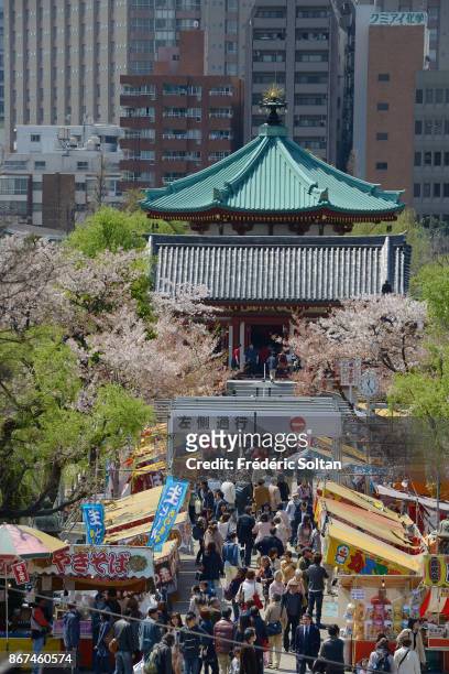 Ueno Park in Tokyo, a spacious public park in the Ueno district of Taito. The home of a number of major museums, Ueno Park is also celebrated in...