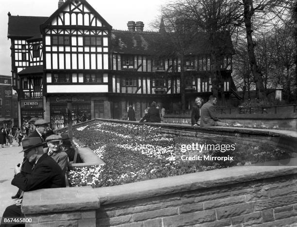 Shoppers enjoy the spring sunshine and the flower beds outside Timothy Whites in Trinity Street Coventry Circa 1953.