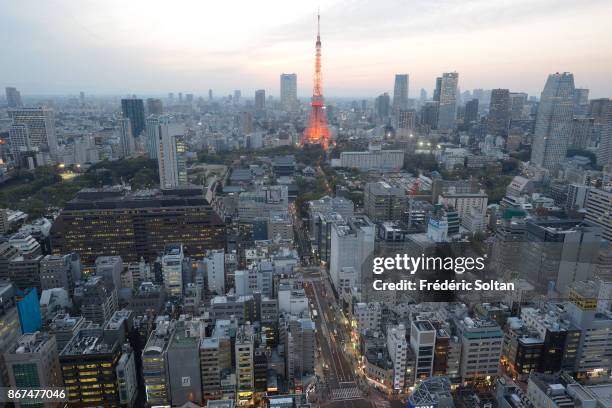 Aerial view in Tokyo and its Tower from the World Trade Center Building, a 40-story commercial skyscraper located in Hamamatsucho, Minato. The Tokyo...