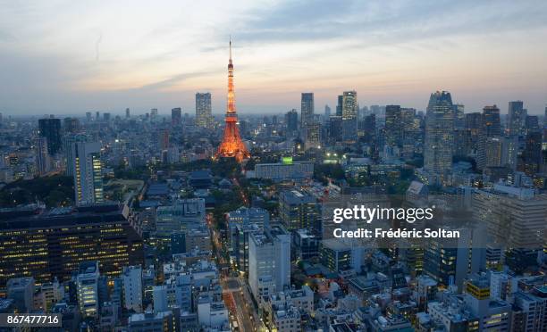 Aerial view in Tokyo and its Tower from the World Trade Center Building, a 40-story commercial skyscraper located in Hamamatsucho, Minato. The Tokyo...