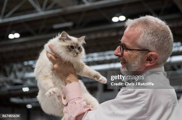 Cat is inspected by a judge during the Supreme Cat Show on October 28, 2017 in Birmingham, England. The one-day Supreme Cat Show is one of the...