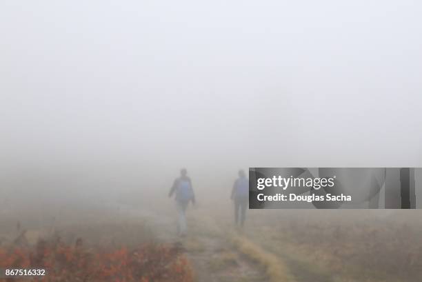 fog creates a scary scene - the light of the moon film stock pictures, royalty-free photos & images