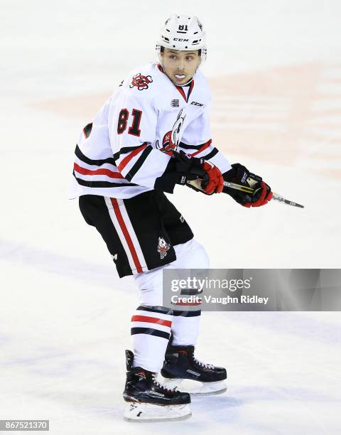 Ondrej Machala of the Niagara IceDogs skates during an OHL game against the Oshawa Generals at the Meridian Centre on October 26, 2017 in St...