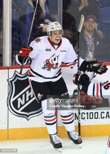 Andrew Bruder of the Niagara IceDogs celebrates a goal during an OHL game against the Oshawa Generals at the Meridian Centre on October 26, 2017 in...