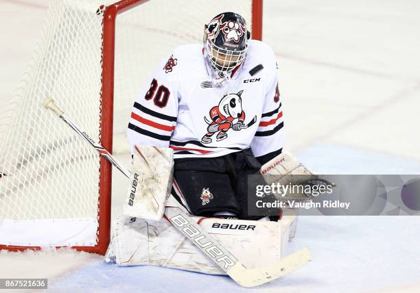 Stephen Dhillon of the Niagara IceDogs makes a save during an OHL game against the Oshawa Generals at the Meridian Centre on October 26, 2017 in St...