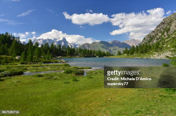 alpine lake in the green - grassland stock-fotos und bilder
