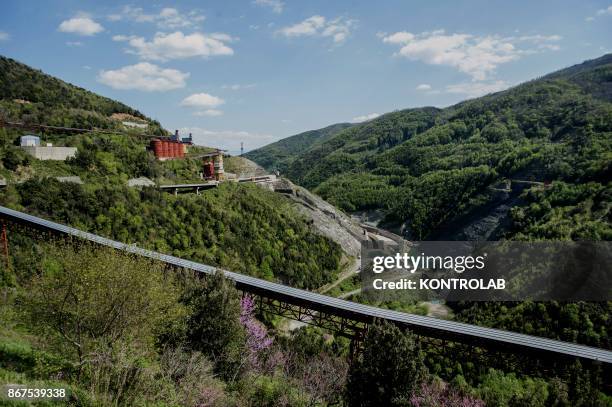 56 Malvito Stock Photos, HighRes Pictures, and Images Getty Images