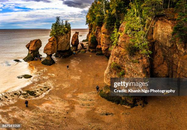 hopewell rocks in new brunswick, canada - bay of fundy stockfoto's en -beelden