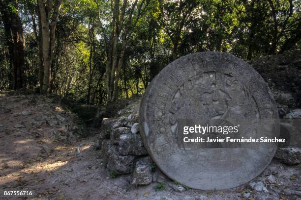 mayan circular stele among the jungle of the ruins of the city of tikal. - flores stockfoto's en -beelden