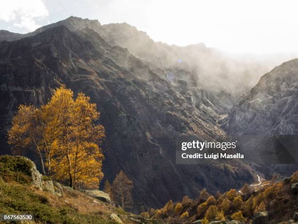 october in val grande di lanzo - valley foto e immagini stock