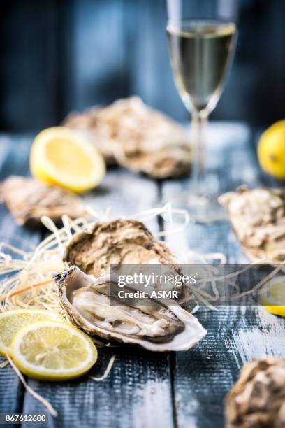 austern mit zitrone - oysters in the ocean stock-fotos und bilder