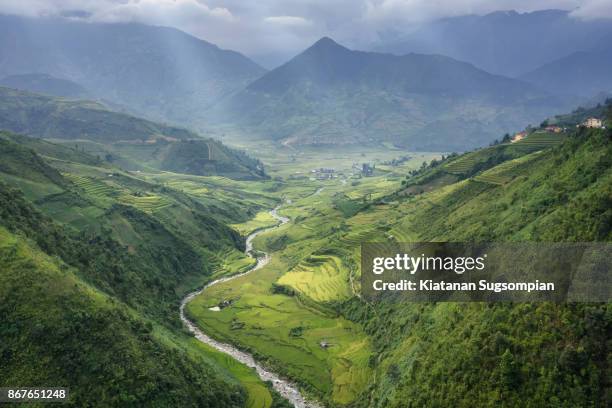 riceterrace hill - sapa stock pictures, royalty-free photos & images