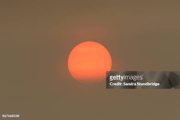 the sun colour in the uk was due to a weather phenomenon, saharan dust, blown in by ex-hurricane ophelia and also from debris, caused by fires in portugal and spain. - light natural phenomenon stock pictures, royalty-free photos & images