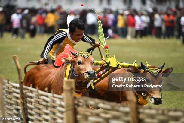 Sapi Events Sapi Island Photos and Premium High Res Pictures - Getty Images