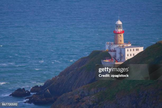 92 Baily Head Stock Photos, High-Res Pictures, and Images - Getty Images