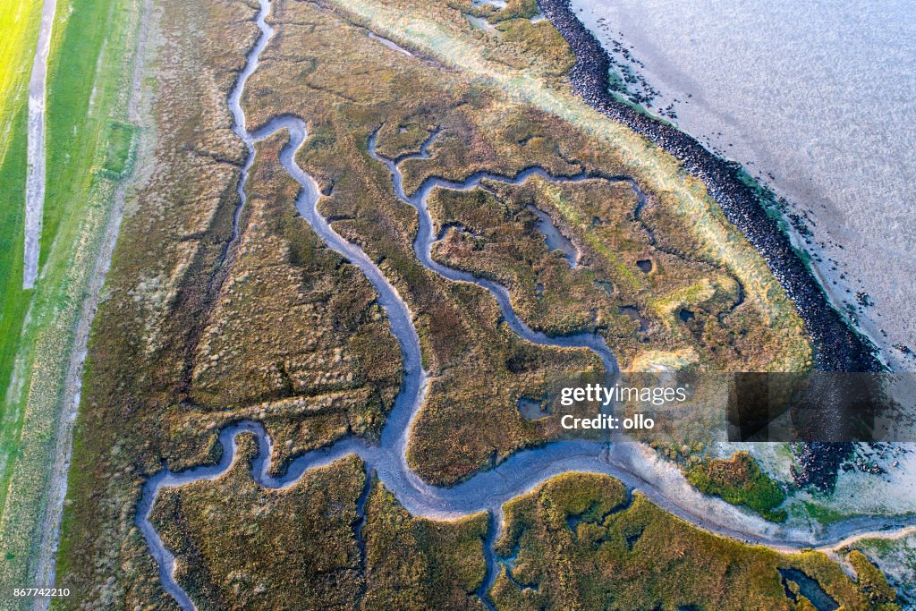 Dyke, salt marsh and coastline - aerial view