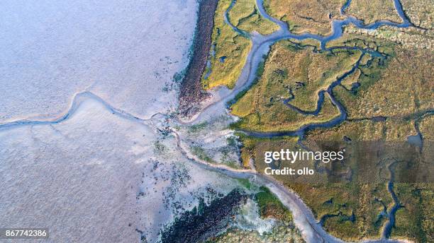 dyke, salt marsh and coastline - aerial view - terra lamacenta imagens e fotografias de stock