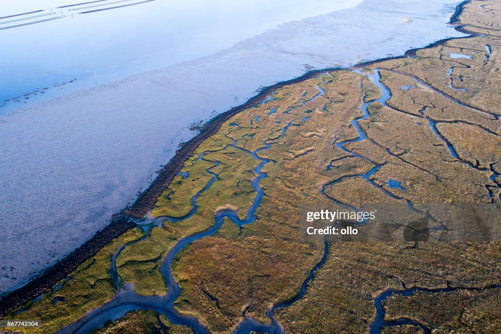 Dyke, salt marsh and coastline - aerial view