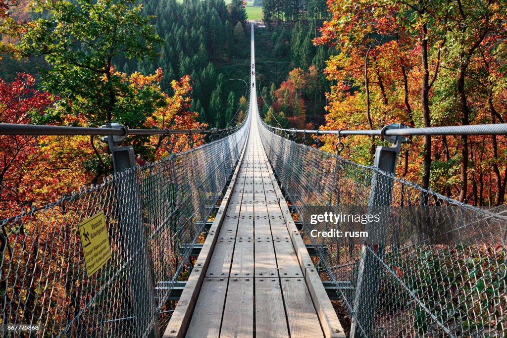 Suspension footbridge Geierlay (Hangeseilbrucke Geierlay), Germany