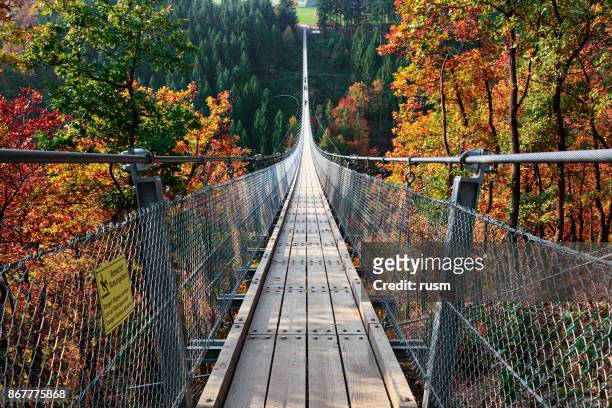 suspension footbridge geierlay (hangeseilbrucke geierlay), germany - suspension bridge stock pictures, royalty-free photos & images