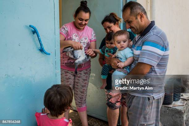 Family play with their pet pigeon outside their home in the Catholic town of Karemles, Iraq, on September 8, 2017. The family recently returned after...