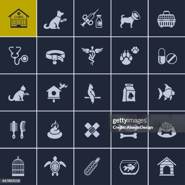 pet care icons - pet insurance stock illustrations