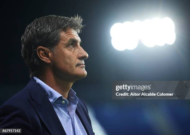 Head Coach of Malaga CF Michel Gonzalez looks on during the La Liga match between Malaga and Celta de Vigo at Estadio La Rosaleda on October 29, 2017...