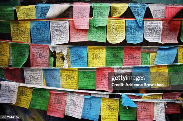 tibetan prayer flags - tibetan culture stock pictures, royalty-free photos & images