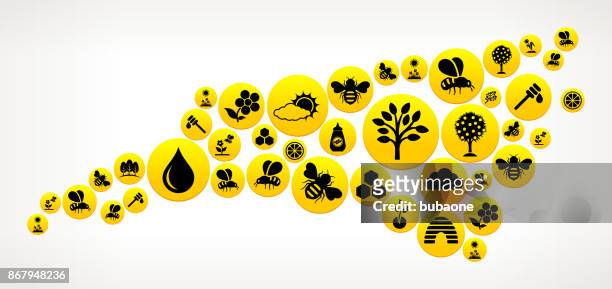 north carolina  honey bee vector yellow button pattern - queen bee stock illustrations