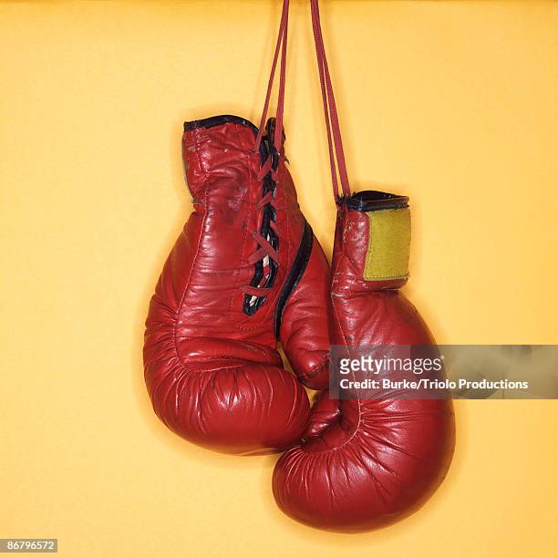 boxing gloves - boxing gloves isolated stock-fotos und bilder
