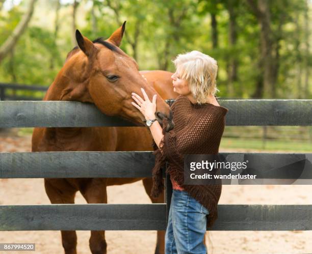 blonde vrouw raakt volbloed paard - engelse volbloed (paard) stockfoto's en -beelden