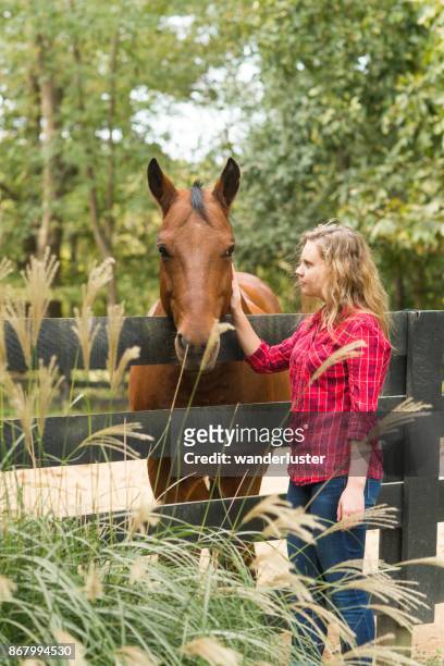teen girl in red plaid touching horse - kentucky farm stock pictures, royalty-free photos & images