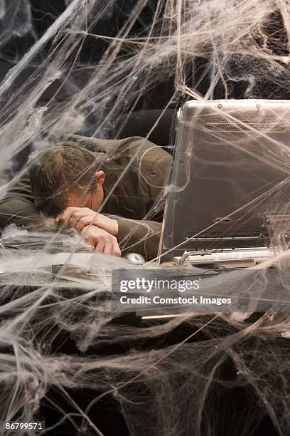 Cobweb Computer Mouse 169 Cobweb Computer Stock Photos, High-Res Pictures, and Images - Getty ...
