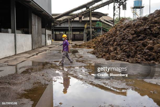 Worker walks past a pile of discarded palm fruit bunches at Bukit Senorang Palm Oil Mill, owned by United Malacca Bhd., in Pahang, Malaysia, on...