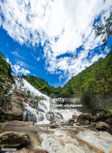 beautiful mae ya waterfall in chiangmai, thailand - shedd brook stock pictures, royalty-free photos & images