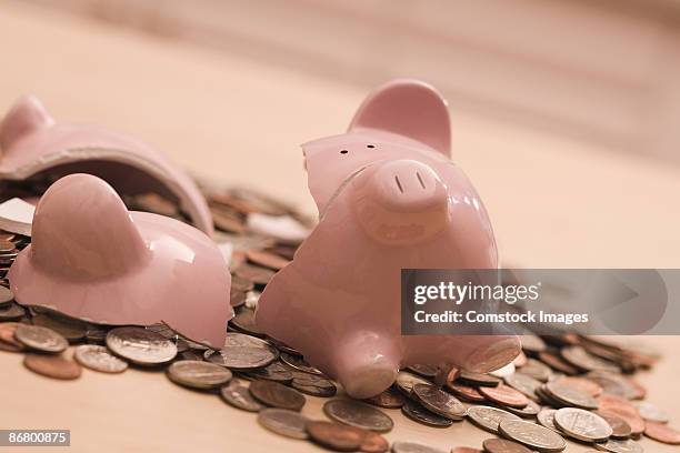 coins and broken piggy bank - smashed piggy bank stock pictures, royalty-free photos & images