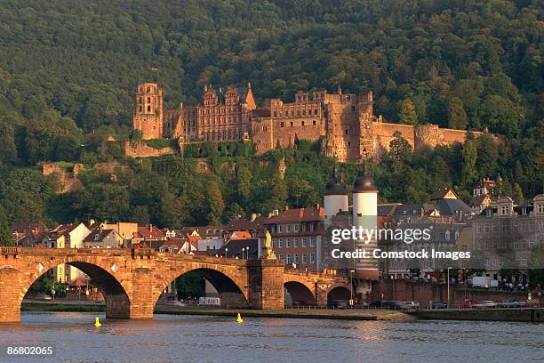 town with bridge and castle - heidelberg tyskland bildbanksfoton och bilder