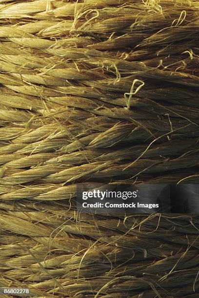 Taut Rope Images 250 Taut Rope Stock Photos, High-Res Pictures, and Images - Getty Images