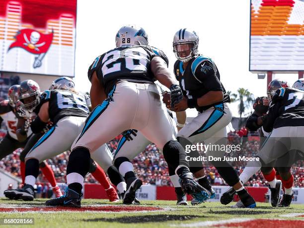 Quarterback Cam Newton hands off to Runningback Jonathan Stewart of the Carolina Panthers during the game against the Tampa Bay Buccaneers at Raymond...