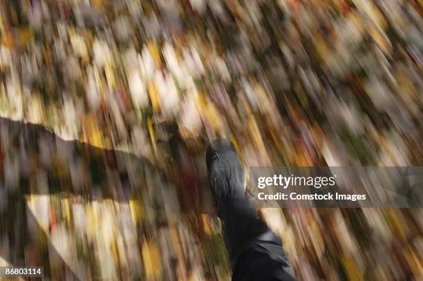 person running on colorful leaves - pov shoes ストックフォトと画像