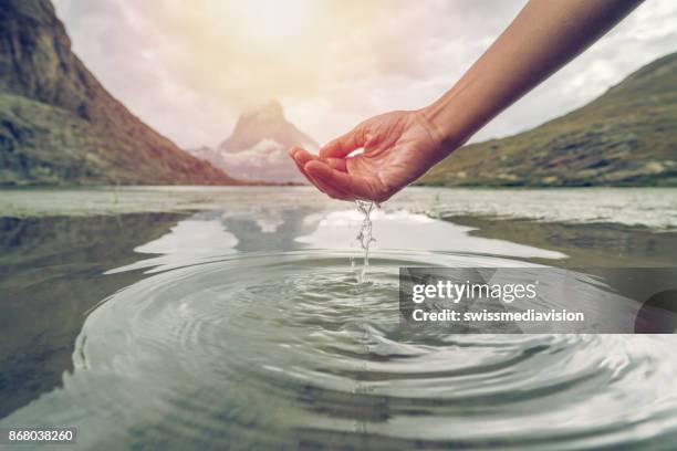 mano umana coppata per catturare acqua dolce dal lago di montagna, cervino svizzera - purity foto e immagini stock