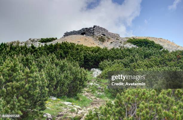 Rax Rax Photos and Premium High Res Pictures - Getty Images