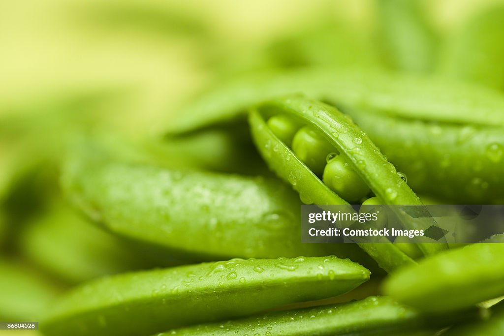 Pea pods