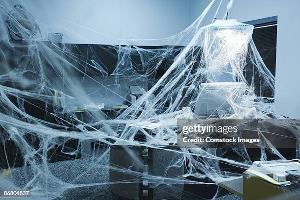 Cobweb Computer Mouse Cobweb Office Photos and Premium High Res Pictures - Getty Images