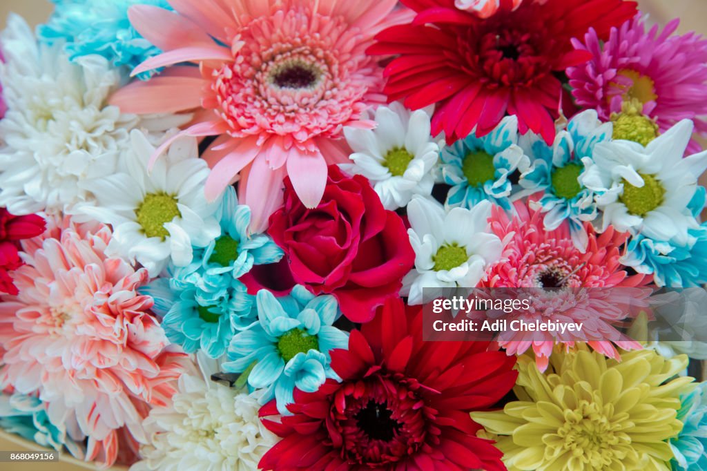 Coloridas Flores Mixtas Mixto Centro De Flores Varias Flores En Diferentes Colores Para Una Boda Foto de stock - Getty Images Coloridas Flores Mixtas Mixto Centro De Flores Varias Flores En Diferentes Colores Para Una Boda Foto de stock - Getty Images