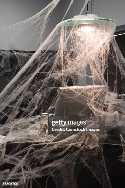 Cobweb Computer Mouse Cobweb Office Photos and Premium High Res Pictures - Getty Images