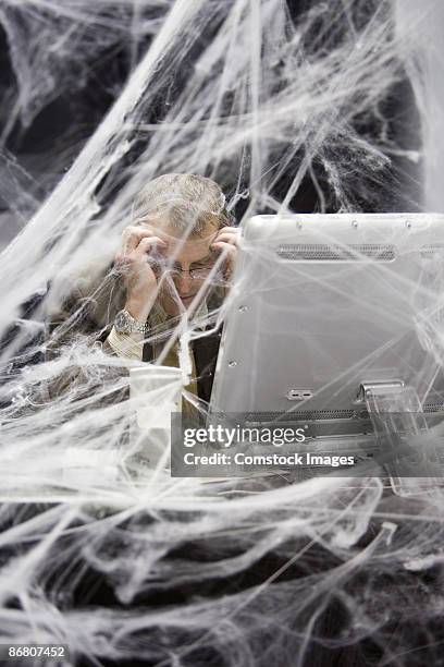 Cobweb Computer Mouse 169 Cobweb Computer Stock Photos, High-Res Pictures, and Images - Getty ...